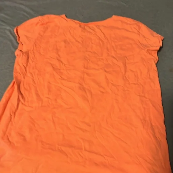 Hummingbird - Picture 2 of 4